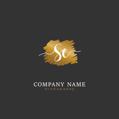 Handwritten initial letter S E SE for identity and logo. Vector logo template with handwriting and signature style.