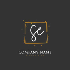 Handwritten initial letter S E SE for identity and logo. Vector logo template with handwriting and signature style.