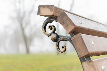 Fragment of a decorative bench in the Park