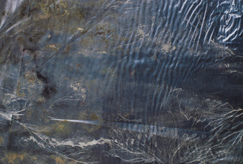 Fototapeta na wymiar crumpled polyethylene texture, under polyethylene, fungus in the form of algae in a pond