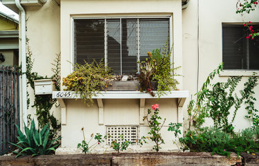 Fototapeta na wymiar Window with plants outdoors