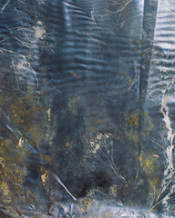 crumpled polyethylene texture, under polyethylene, fungus in the form of algae in a pond