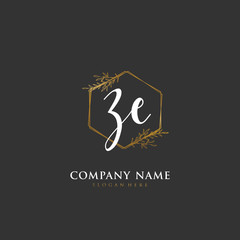 Handwritten initial letter Z E ZE for identity and logo. Vector logo template with handwriting and signature style.