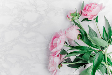 Beautiful pink peonies on a marble background