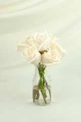 White roses in a clear vase isolated on a white background. Cream colored roses on a cream background