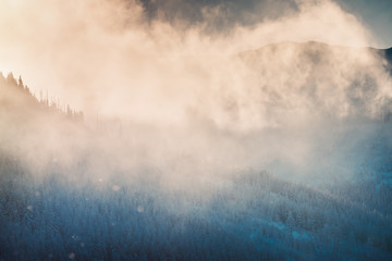 Beautiful winter landscape