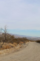 This dirt road, bounded by native plant communities in the amalgamation of Mojave and Colorado Deserts, leads to the protected grounds of Mission Creek Preserve.