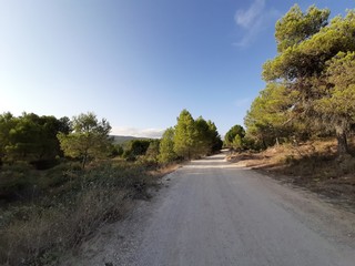 road in countryside