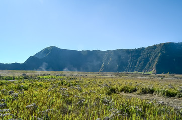 Fototapeta premium Landscape view of Bromo Savannah, Bromo Mountain, Bromo Tengger Semeru National Park, East Java, indonesia