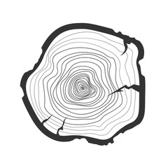 Fototapeta premium Vector black tree rings. Cross section of the trunk isolated on white background. Wooden stump.