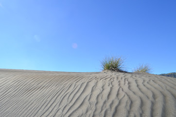 Naklejka premium Sand dune with pattern made by wind at Mount Bromo, Bromo Tengger Semeru National Park, East Java, Indonesia