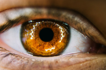 Extreme macro shot of the brown eye of a child
