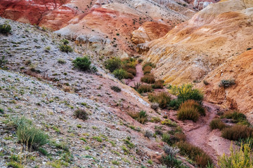 Red slopes of the Altai 