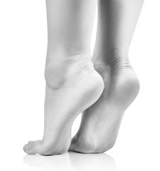 Bare female feet closeup. Isolated on white background.