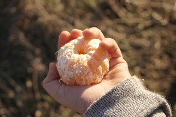peeled mandarin in child hand    