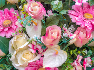 Flowers background with pink and white flowers