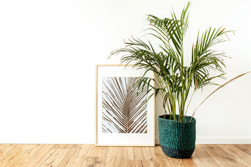 Home plant tropical palm in rattan pot in front of photo frame. Minimal modern interior design concept.