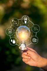 Light bulb Energy saving green nature background.
