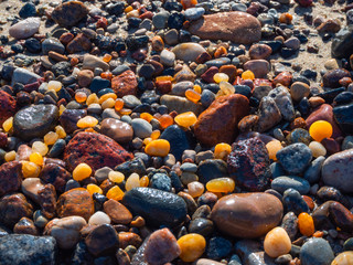 Small amber stone and pebbles on the sandy beach. Shallow wet amber washed by waves. Natural mineral at the Baltic sea coast.  Short focus.