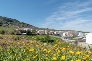 Yellow Flowers, Mountain, village