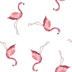Fototapete Flamingo Tropical pink flamingo bird seamless pattern white background. Exotic jungle wallpaper.