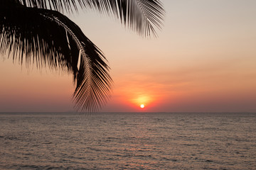 Palm tree leaf on blur tropical sunset beach background. Travel concept template.