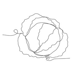 Cabbage one line drawing on white isolated background for grocery store, printing on posters and banners