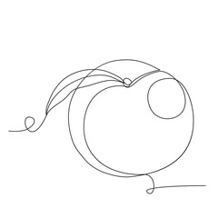 Peach one line drawing on white isolated background for grocery store, printing on posters and banners