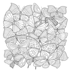 Many different patterns of butterflies for your coloring book