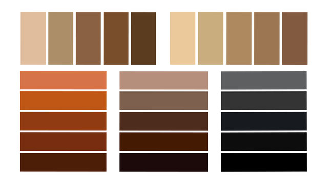 Seth palette of shades of hair color. Hair color tones, palette for coloring.