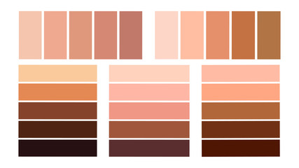 Set color palette for the tone of human skin. Skin tones from light to dark.