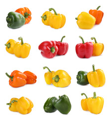 Set of different ripe bell peppers on white background