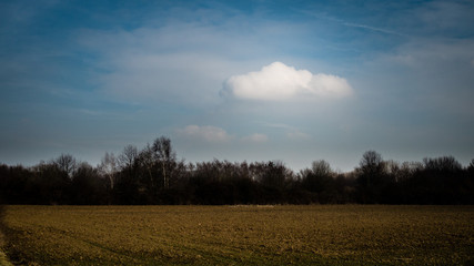 Fototapeta na wymiar Wolke über Feld im Arboretum Eschborn