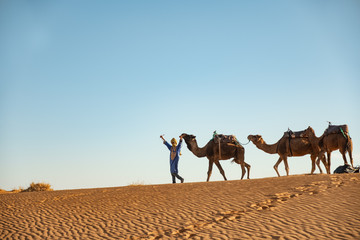 Joven bereber llevando dromedarios camellos en el desierto. Erg Chebbi, Marruecos.