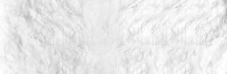 Closeup animal white wool sheep panoramic background in top view light, wide grey fluffy seamless cotton texture. Wrinkled lamb fur coat skin, rug mat raw material, fleece woolly textile concept