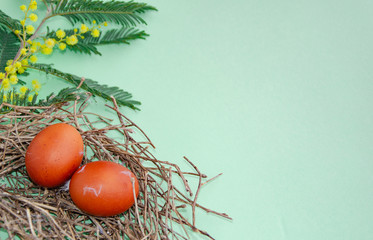 Traditional Easter eggs in the nest dyed using onion skins and mimosa flowers on green background. Top view with copy space.