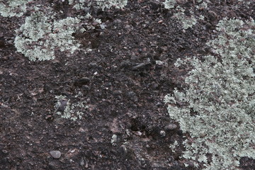  texture background of mountain stone with a beautiful pattern of moss