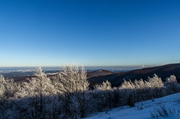 Polonina Dźwiniacka Bieszczady zima  panorama 