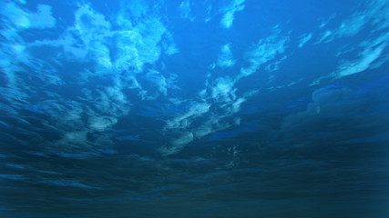 Fototapeta na wymiar deep blue ocean with underwater angle by 3D rendering scene
