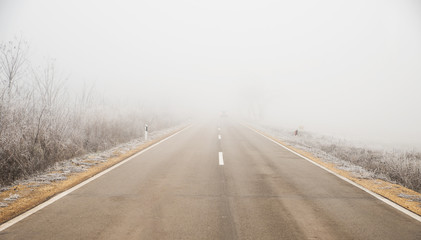 Road into the fog