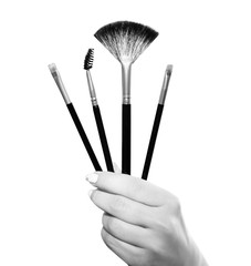 Sets of different brushes for makeup in female hands