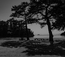 Pacific NW Puget Sound: Benches at Sucia Island Park in San Juan Islands