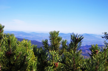 Fototapeta na wymiar Widok z Babiej Góry na horyzont
