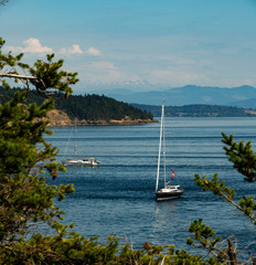 Fototapeta na wymiar Pacific NW Puget Sound: Boats heading towards anchorages on Sucia Island in the San Juan Island chain