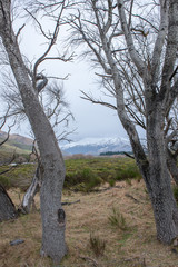 Arthur's Pass. Valley. New Zealand. South Island. Rainy day.