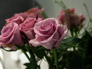 OLYMPUS DIGITAL CAMERA - CUT FLOWERS