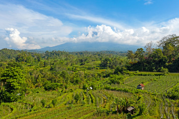 Fototapeta na wymiar Aerial from rice fields in Sidemen with Mount Agung in the background on Bali Indonesia