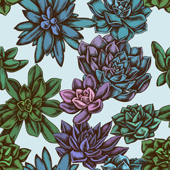 Seamless pattern with hand drawn colored succulent echeveria