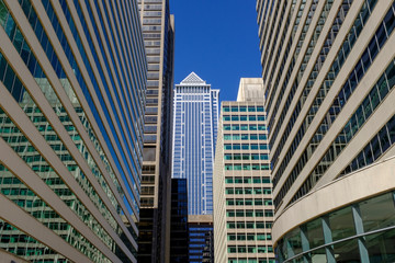 Philadelphia Buildings Cityscape