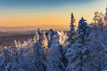 Winter sunset in the forest, beautiful yellow sky.